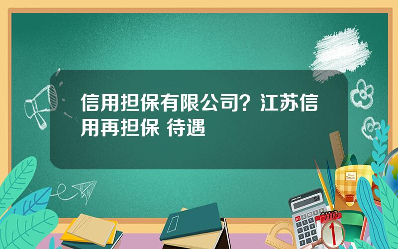 信用担保有限公司？江苏信用再担保 待遇